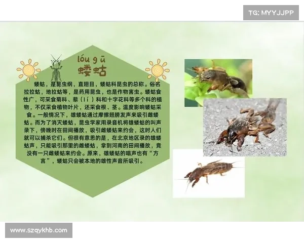探索精怪世界奥秘的实用指南揭示奇幻生物的起源与习性 探索精怪世界奥秘的实用指南揭示奇幻生物的起源与习性