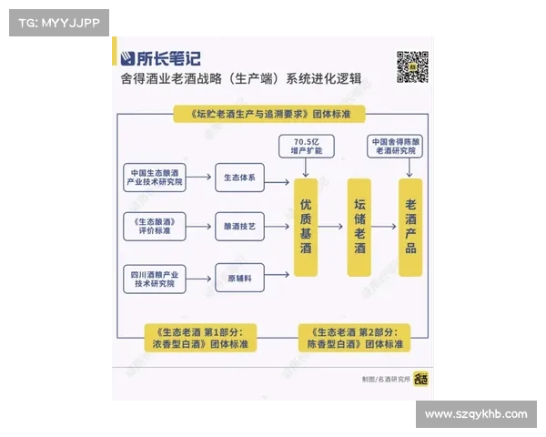 DK宏技术应用研究中的探索路径与优化策略分析 DK宏技术应用研究中的探索路径与优化策略分析