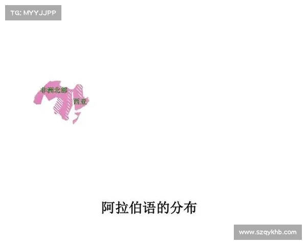 如何了解巴舒亚伊的语言背景及他常用的语言交流方式